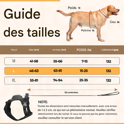 CosyLaisse - Laisse Rétractable 2-en-1 pour Chien 🐾