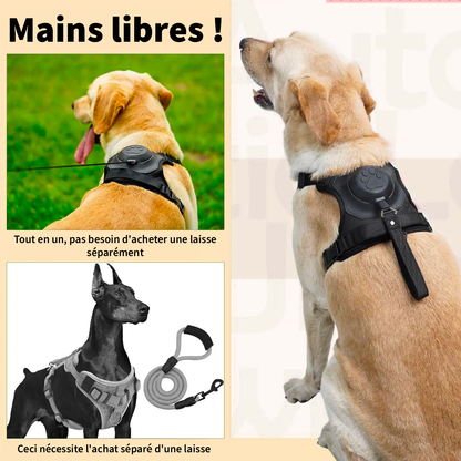 CosyLaisse - Laisse Rétractable 2-en-1 pour Chien 🐾