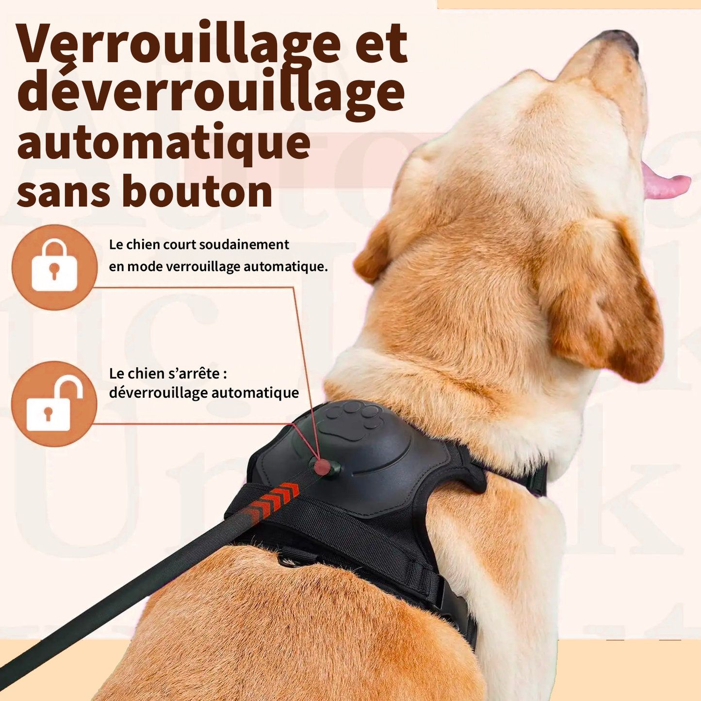 CosyLaisse - Laisse Rétractable 2-en-1 pour Chien 🐾