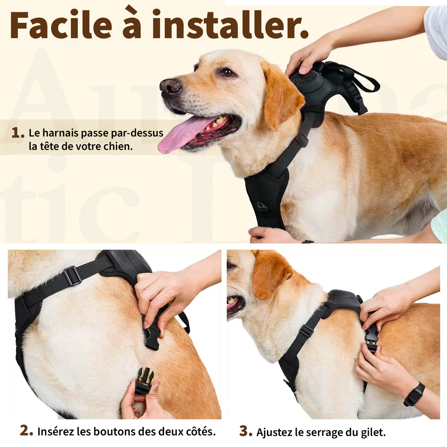 CosyLaisse - Laisse Rétractable 2-en-1 pour Chien 🐾